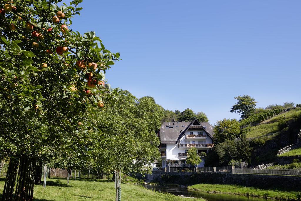 Hotel Pension Jagerstubchen Mayschoß Екстериор снимка